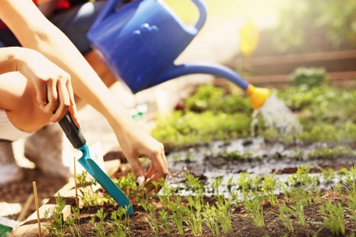 Gardener working in a Morden garden, pruning shrubs beside a pathway