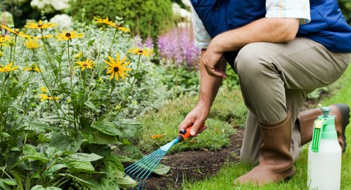 Landscape view of a maintained garden with clear pathways and accessible layout