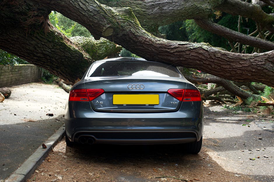 A dark grey Audi A5 TDI parked on a paved driveway with a damaged tree fallen across the top of the vehicle. The tree has thick, textured bark and large, drooping branches with some greenery, indicati